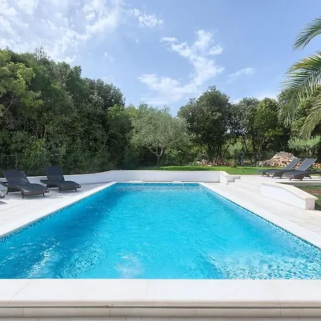 In With Swimming Pool Vila